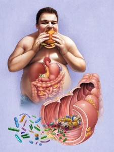 Obesity and Autism | Photo: www.abc.net.au